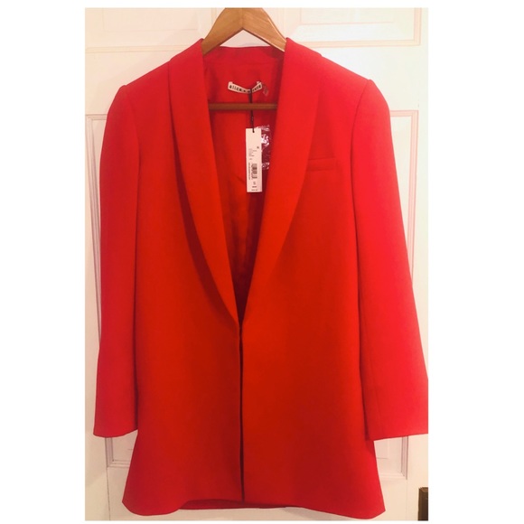 NWT Alice + Olivia Jace Oversized Blazer-Paprika - Picture 3 of 6